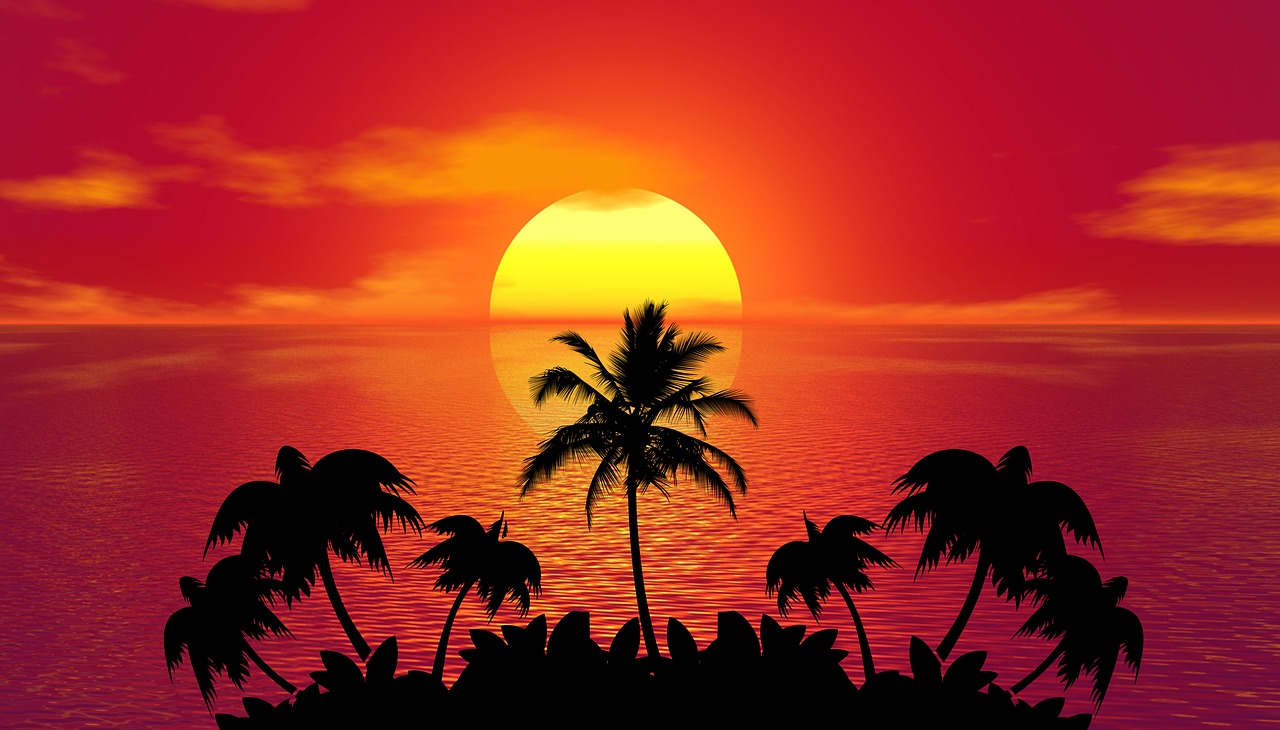 sunset, palm trees, silhouettes-1651426.jpg